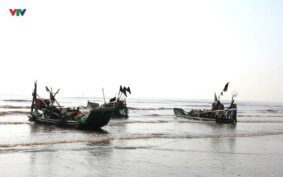 Ngư dân Nghệ An trúng đậm mùa sứa biển, thu tiền triệu mỗi chuyến ra khơi Ngư dân Nghệ An trúng đậm mùa sứa biển, thu tiền triệu mỗi chuyến ra khơi