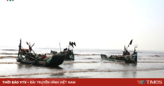 Ngư dân Nghệ An trúng đậm mùa sứa biển, thu tiền triệu mỗi chuyến ra khơi
