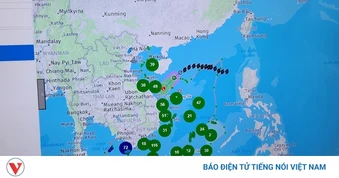 Ngư dân Quảng Ngãi thay đổi tư duy đánh bắt, chấp hành nghiêm quy định IUU