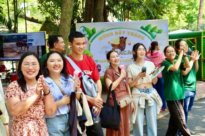 Ngựa lùn Cacao khỏe mạnh sau 1 tháng tuổi tại Thảo Cầm Viên Ngựa lùn Cacao khỏe mạnh sau 1 tháng tuổi tại Thảo Cầm Viên