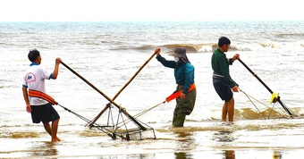 Người dân đua nhau cào ốc tép kiếm tiền triệu mỗi ngày dịp đầu năm