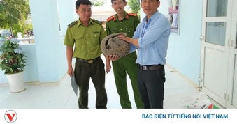 Người dân giao nộp cá thể tê tê quý hiếm cho cơ quan chức năng