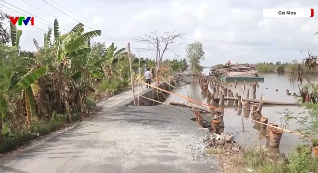 Người dân, học sinh chật vật vì sụt lún đường cặp kênh Đông Hưng (Cà Mau) Người dân, học sinh chật vật vì sụt lún đường cặp kênh Đông Hưng (Cà Mau)