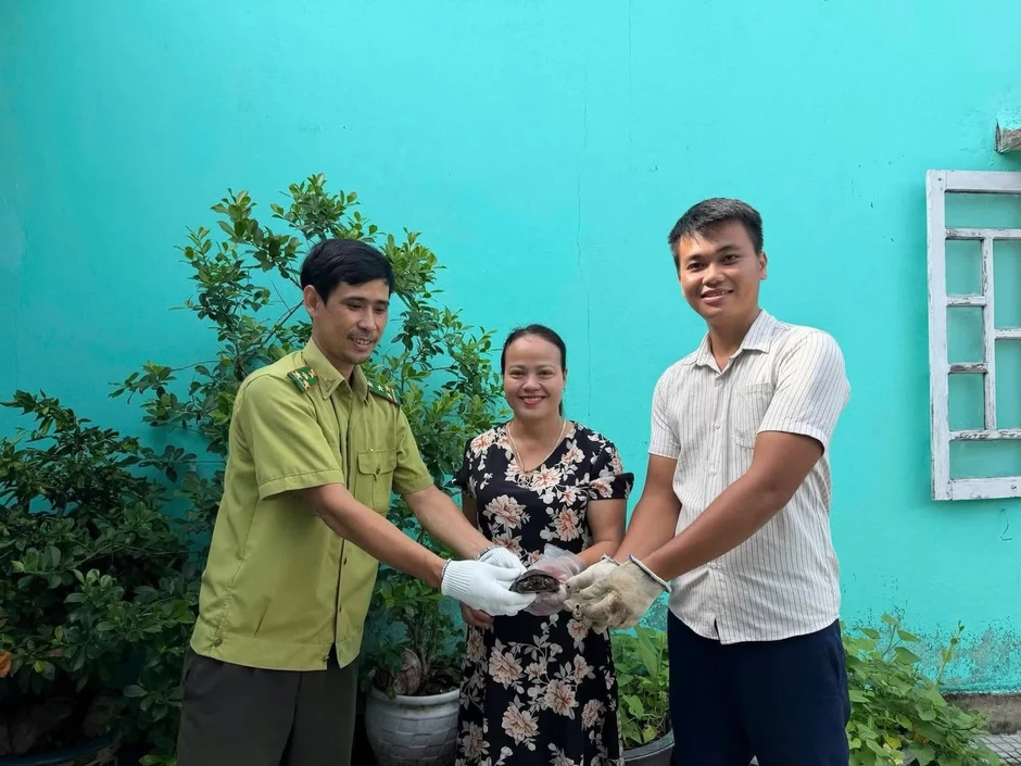 Người dân Huế giao nộp 26 cá thể động vật hoang dã, quý hiếm