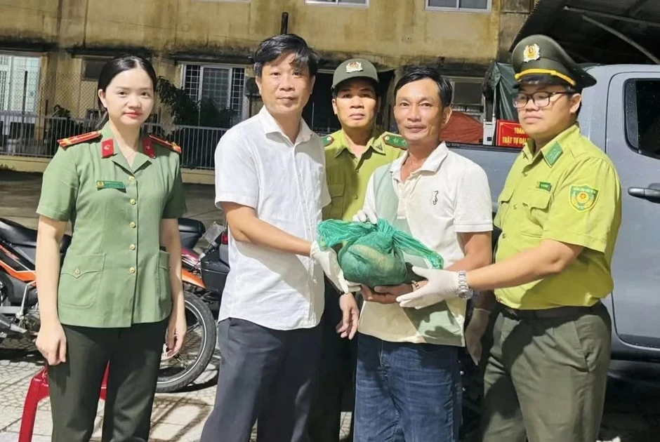 Người dân Huế giao nộp 26 cá thể động vật hoang dã, quý hiếm