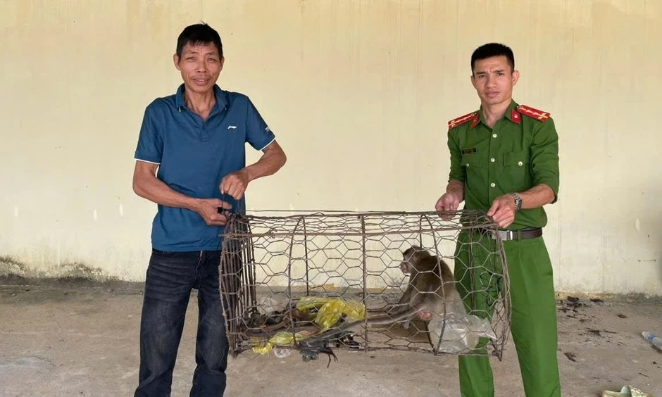 Người dân Lâm Đồng tự nguyện giao nộp động vật quý hiếm, thả về rừng Người dân Lâm Đồng tự nguyện giao nộp động vật quý hiếm, thả về rừng