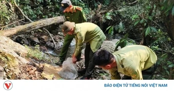 Người dân Lâm Đồng tự nguyện giao nộp động vật quý hiếm, thả về rừng