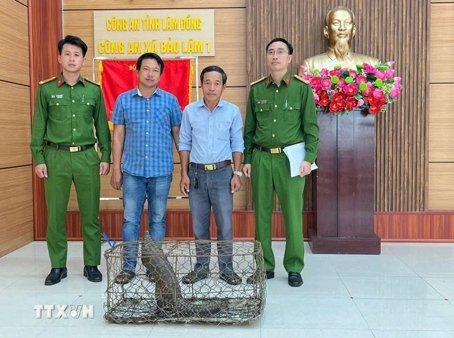 Người dân nộp lại tê tê quý hiếm trong Sách đỏ