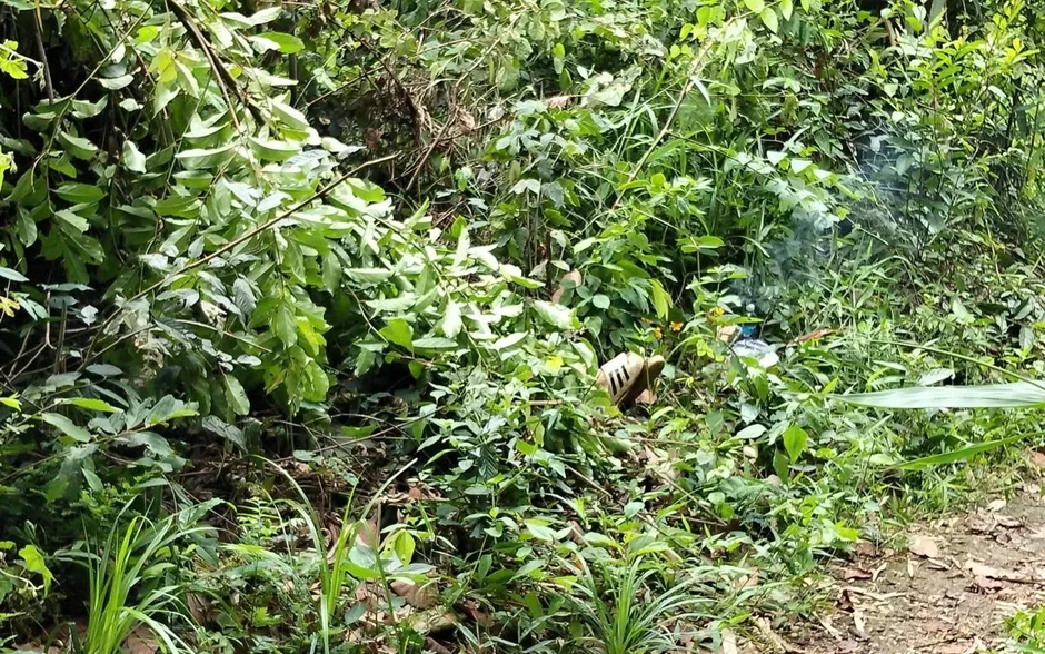 Người đàn ông bị điện phóng tử vong khi đi bẫy chim Người đàn ông bị điện phóng tử vong khi đi bẫy chim