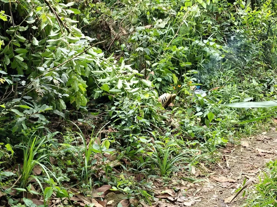 Người đàn ông bị điện phóng tử vong khi đi bẫy chim Người đàn ông bị điện phóng tử vong khi đi bẫy chim