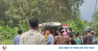 Người đàn ông bị sét đánh tử vong khi đang cưa cây thuê