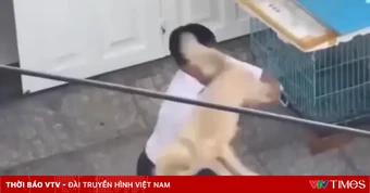 Người đàn ông dùng vật nuôi đánh và ném vào nam shipper