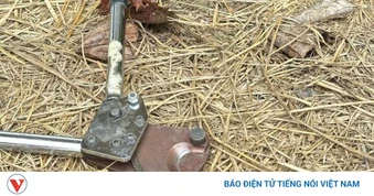 Người đàn ông ở Đồng Nai tử vong khi dùng sào sắt tự chế chạm vào điện trung thế