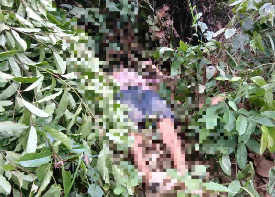 Người đàn ông tử vong dưới đường dây điện khi đi bẫy chim Người đàn ông tử vong dưới đường dây điện khi đi bẫy chim