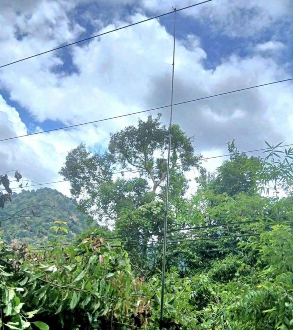 Người đàn ông tử vong dưới đường dây điện khi đi bẫy chim Người đàn ông tử vong dưới đường dây điện khi đi bẫy chim