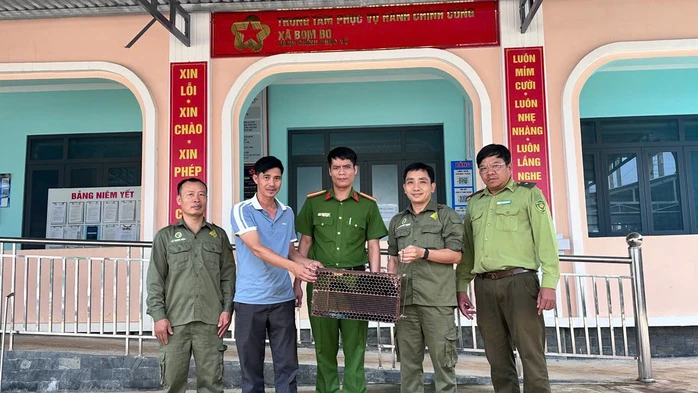 Người dân phát hiện 2 con vượn quý hiếm ở Đồng Nai Người dân phát hiện 2 con vượn quý hiếm ở Đồng Nai