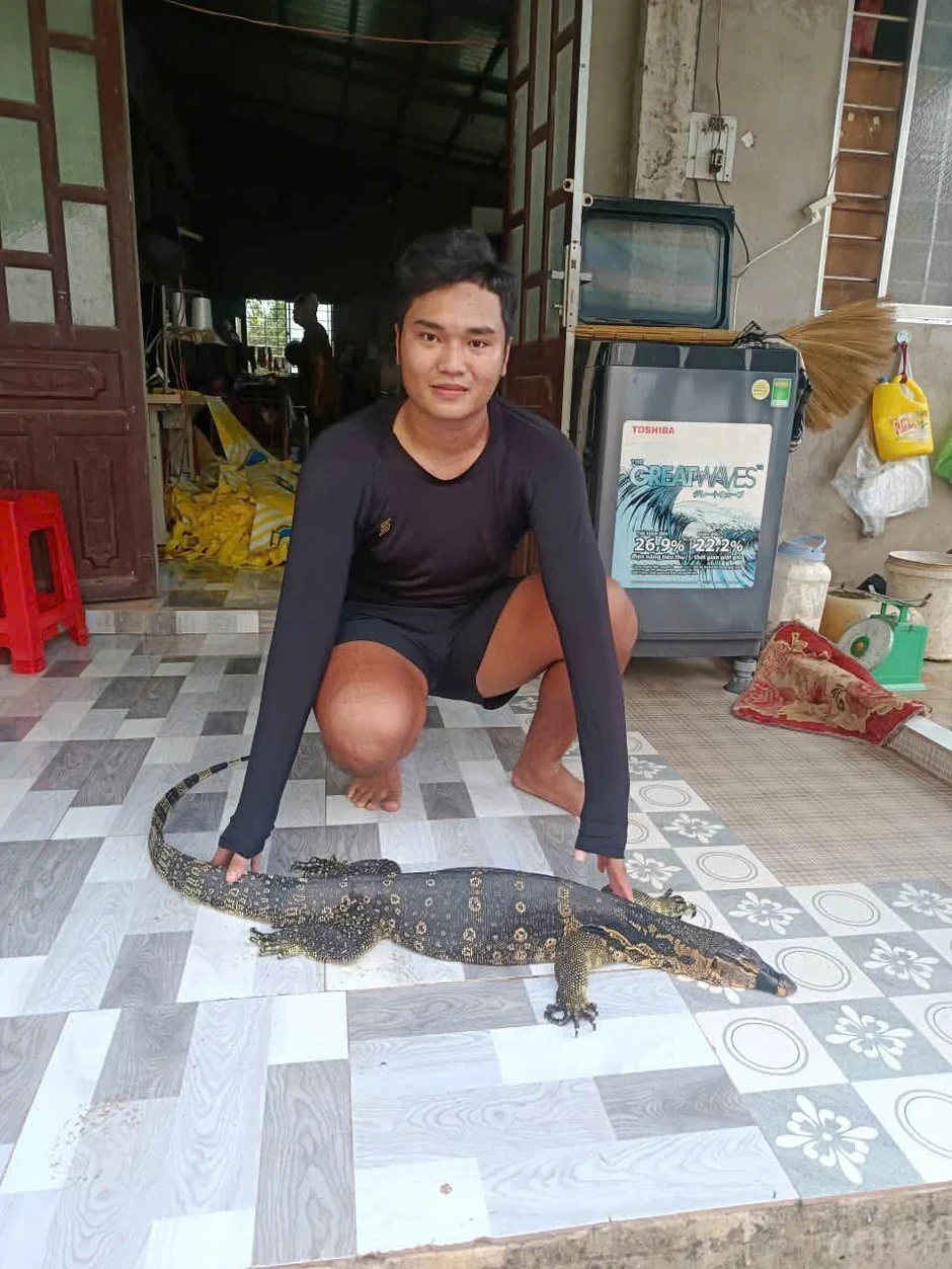 Người dân phát hiện kỳ đà hoa 6,5 kg sau nhà