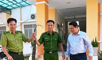 Người dân phát hiện kỳ đà hoa 6,5 kg sau nhà