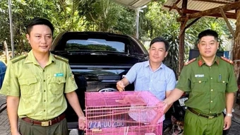 Người dân tự nguyện giao nộp nhiều động vật hoang dã quý hiếm