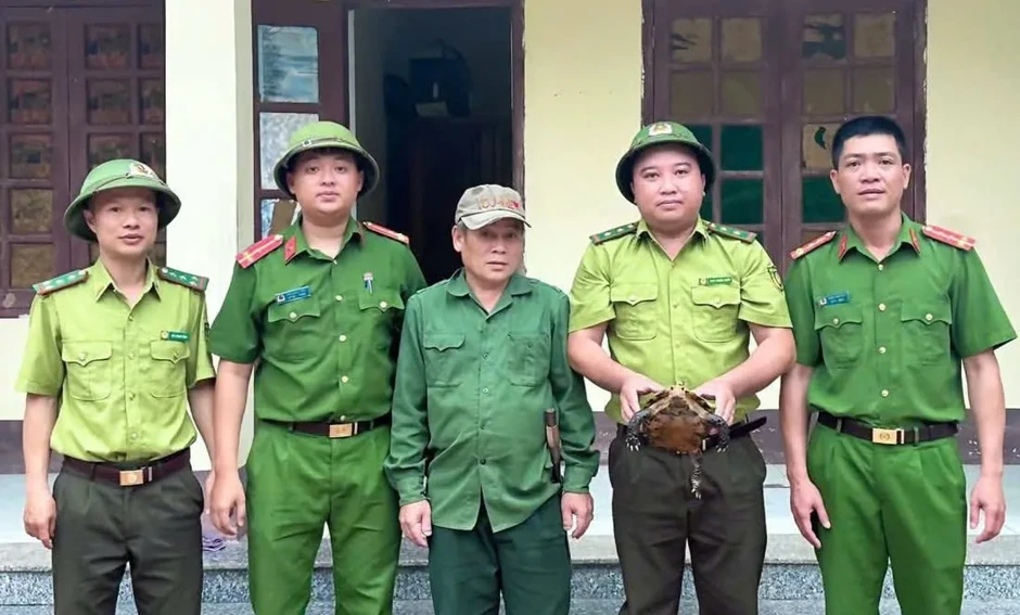 Người dân tự nguyện giao nộp rùa núi viền quý hiếm Người dân tự nguyện giao nộp rùa núi viền quý hiếm