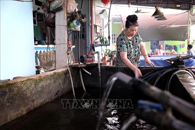 Người dân ven hồ Hòa Bình 'khát nước sạch' Người dân ven hồ Hòa Bình 'khát nước sạch'