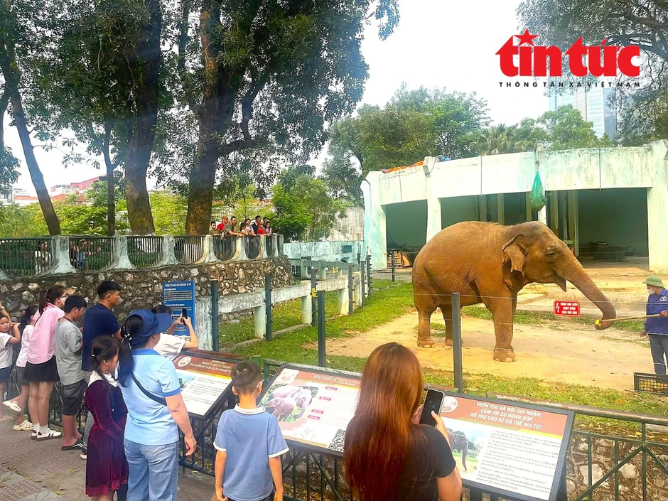Người Hà Nội nô nức đưa con đi vườn thú vui chơi trong kỳ nghỉ lễ Người Hà Nội nô nức đưa con đi vườn thú vui chơi trong kỳ nghỉ lễ