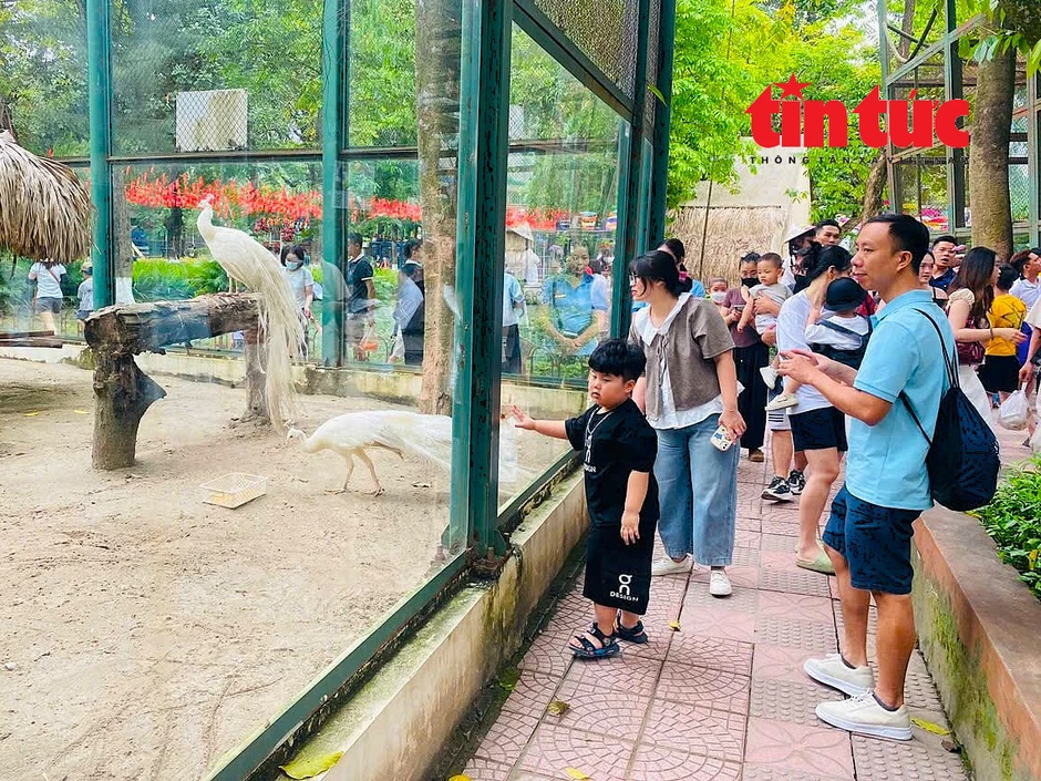 Người Hà Nội nô nức đưa con đi vườn thú vui chơi trong kỳ nghỉ lễ Người Hà Nội nô nức đưa con đi vườn thú vui chơi trong kỳ nghỉ lễ