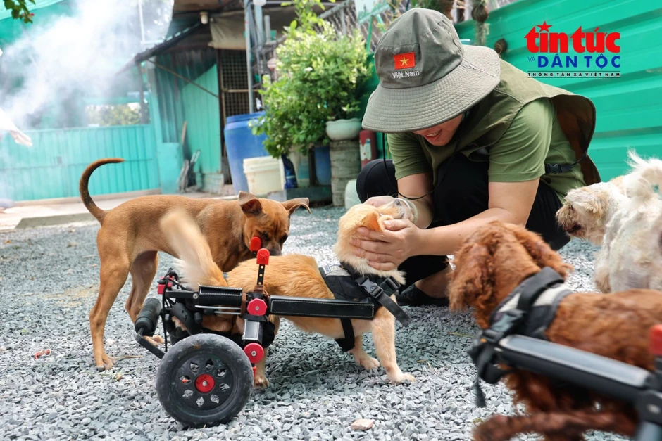 Người phụ nữ dựng 'Nhà Xanh' cưu mang 150 chú chó bị bỏ rơi Người phụ nữ dựng 'Nhà Xanh' cưu mang 150 chú chó bị bỏ rơi