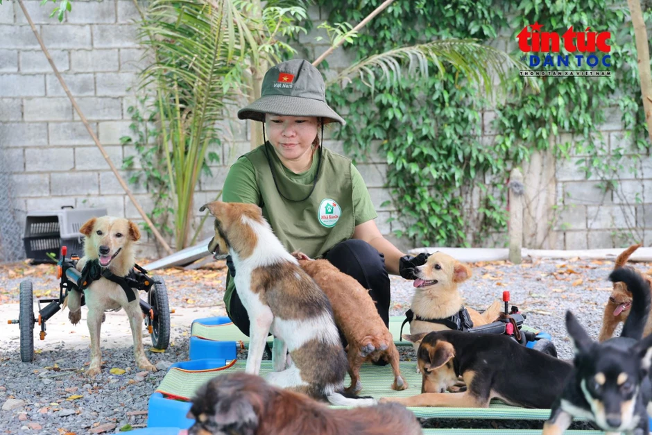 Người phụ nữ dựng 'Nhà Xanh' cưu mang 150 chú chó bị bỏ rơi Người phụ nữ dựng 'Nhà Xanh' cưu mang 150 chú chó bị bỏ rơi