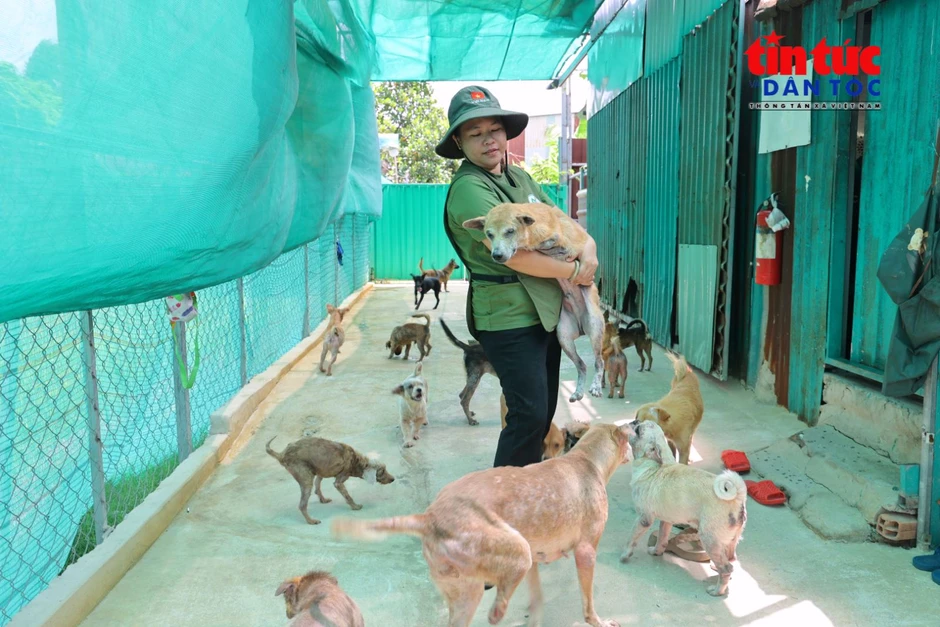 Người phụ nữ dựng 'Nhà Xanh' cưu mang 150 chú chó bị bỏ rơi Người phụ nữ dựng 'Nhà Xanh' cưu mang 150 chú chó bị bỏ rơi