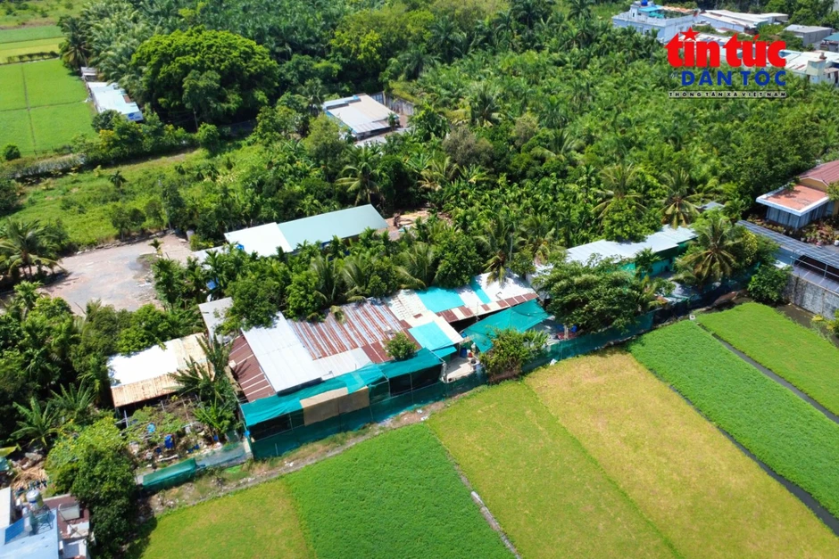 Người phụ nữ dựng 'Nhà Xanh' cưu mang 150 chú chó bị bỏ rơi Người phụ nữ dựng 'Nhà Xanh' cưu mang 150 chú chó bị bỏ rơi