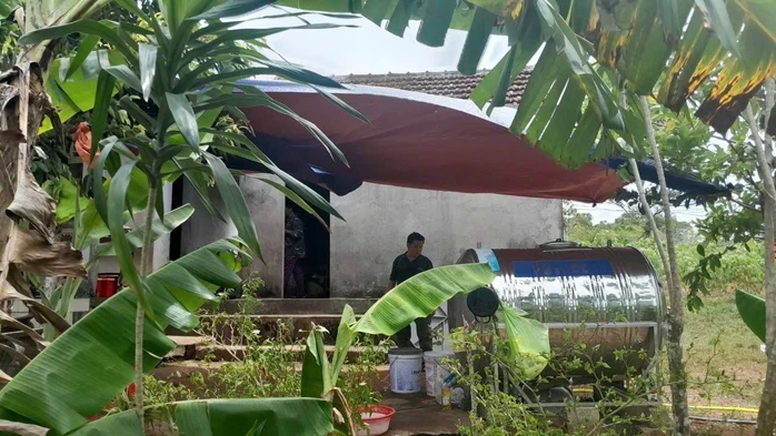Người phụ nữ tử vong sau khi bị rắn độc cắn khi hái thuốc nam ở Quảng Trị