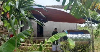 Người phụ nữ tử vong sau khi bị rắn độc cắn khi hái thuốc nam ở Quảng Trị
