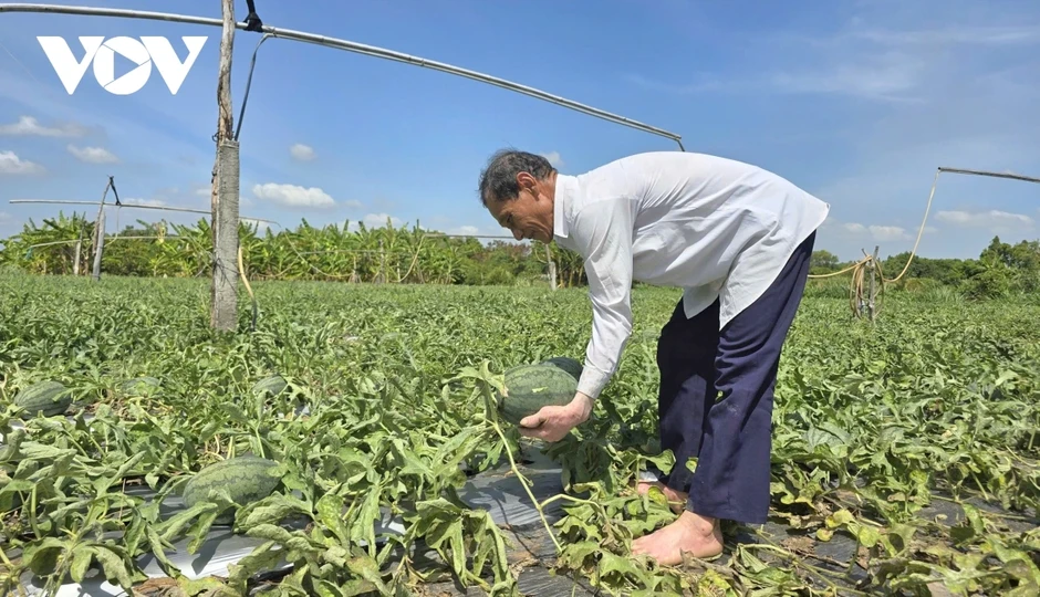 Nguồn nước Đồng bằng sông Cửu Long trước áp lực gia tăng Nguồn nước Đồng bằng sông Cửu Long trước áp lực gia tăng