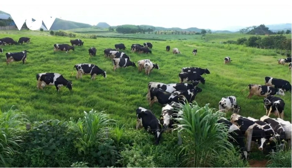 Nguồn nước ô nhiễm ở phường Thảo Nguyên, Sơn La vẫn chưa được giải quyết triệt để Nguồn nước ô nhiễm ở phường Thảo Nguyên, Sơn La vẫn chưa được giải quyết triệt để