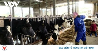 Nguồn nước ô nhiễm ở phường Thảo Nguyên, Sơn La vẫn chưa được giải quyết triệt để