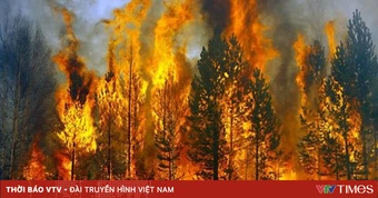 Nguy cơ cháy rừng cao trên diện rộng tại Đà Nẵng