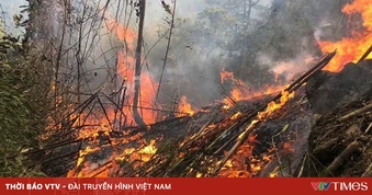 Nguy cơ cháy rừng cấp cao tại Sóc Sơn (Hà Nội) do thời tiết hanh khô kéo dài