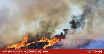 Nguy cơ cháy rừng ở Tây Ninh xuống mức thấp nhất