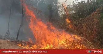 Nguy cơ cháy rừng rất cao ở Điện Biên, nhiều diện tích cảnh báo cháy cấp 5