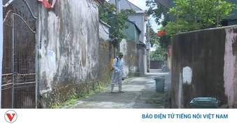 Nguy cơ lây lan viêm não Nhật Bản sau ca tử vong tại Thanh Hóa
