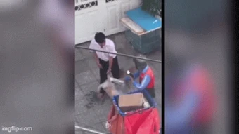 Nguyễn Duy Tấn - người đàn ông đánh nam shipper vì từ chối cắt lông chó ở TP.HCM khai gì?