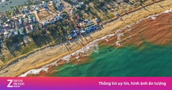 Nguyên nhân xuất hiện vệt nước nâu đỏ kỳ lạ ở biển Gia Lai