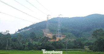Nhà thầu nói gì về sự cố sạt lở tại chân cột điện 500kV Lào Cai - Vĩnh Yên?
