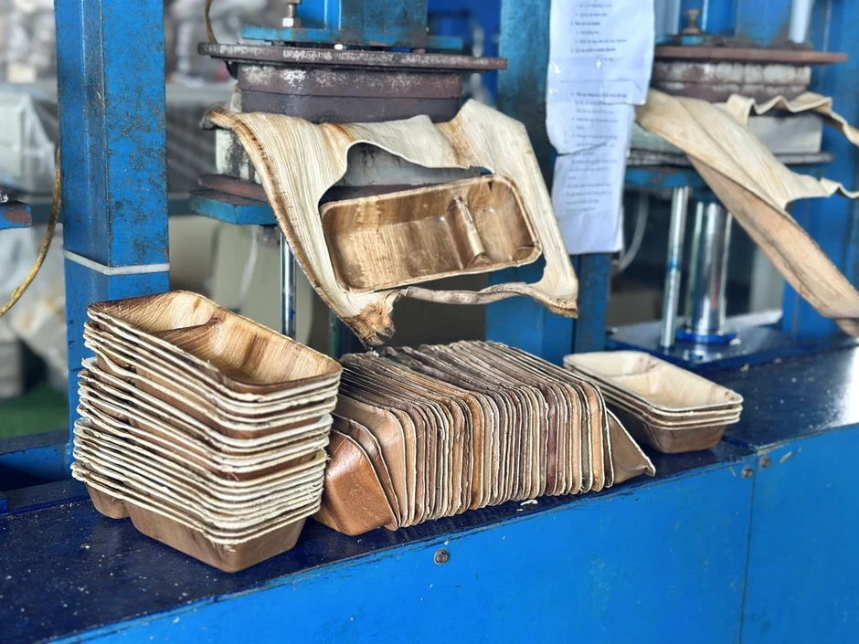 Nhà vườn ở Quảng Ngãi kiếm tiền triệu nhờ bán thứ tưởng bỏ đi Nhà vườn ở Quảng Ngãi kiếm tiền triệu nhờ bán thứ tưởng bỏ đi