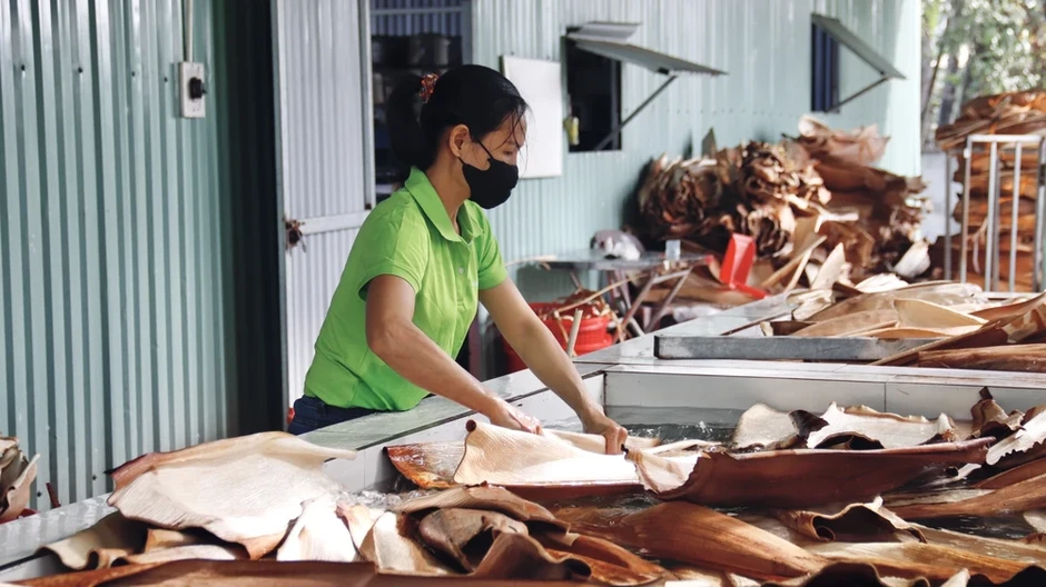 Nhà vườn ở Quảng Ngãi kiếm tiền triệu nhờ bán thứ tưởng bỏ đi Nhà vườn ở Quảng Ngãi kiếm tiền triệu nhờ bán thứ tưởng bỏ đi