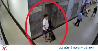 Nhắc cư dân đeo rọ mõm cho chó, thành viên BQT chung cư Đại Thanh bị hành hung?
