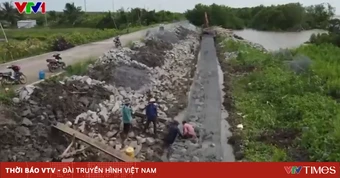 Nhiều địa phương khẩn trương gia cố điểm xung yếu, ứng phó sạt lở và mưa lũ