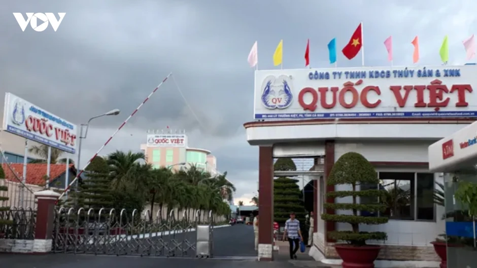 Nhiều doanh nghiệp tại Cà Mau nợ tiền bảo hiểm của người lao động Nhiều doanh nghiệp tại Cà Mau nợ tiền bảo hiểm của người lao động