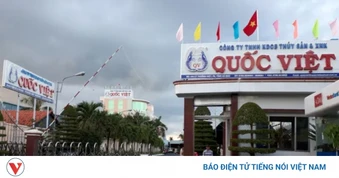 Nhiều doanh nghiệp tại Cà Mau nợ tiền bảo hiểm của người lao động